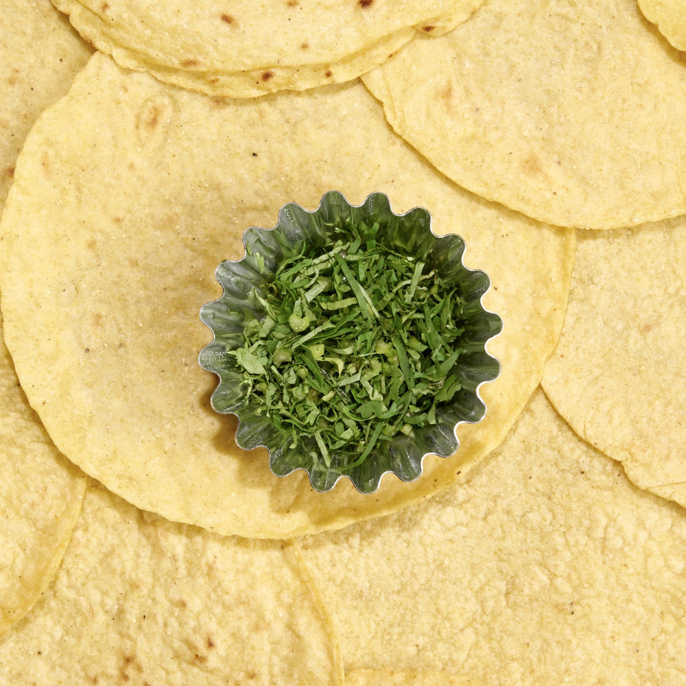Cilantro