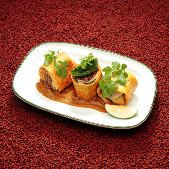 Birria Burrito